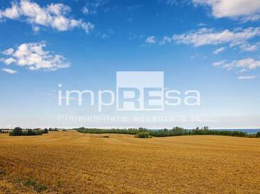 foto principale del terreno