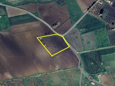 foto principale del terreno