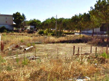 foto principale del terreno