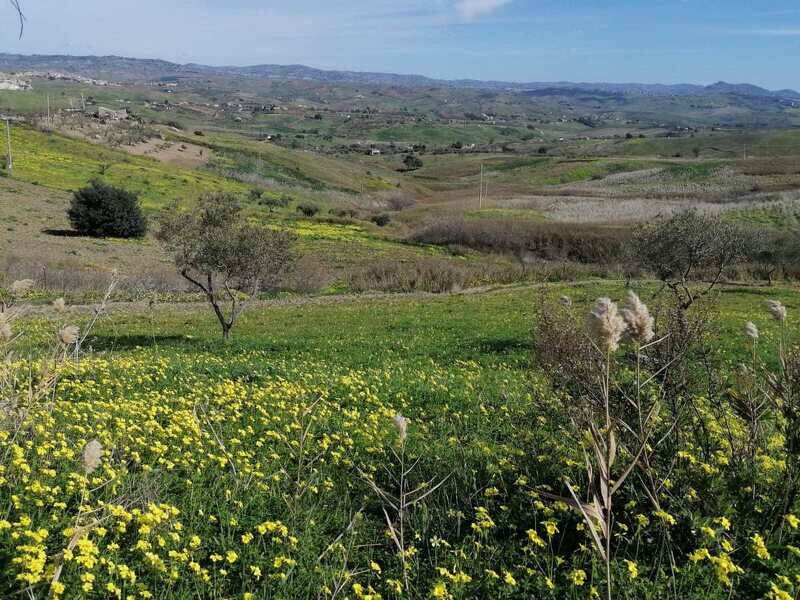 foto principale del terreno