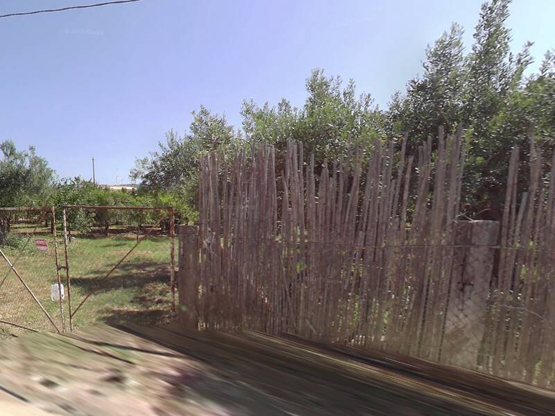 foto principale del terreno