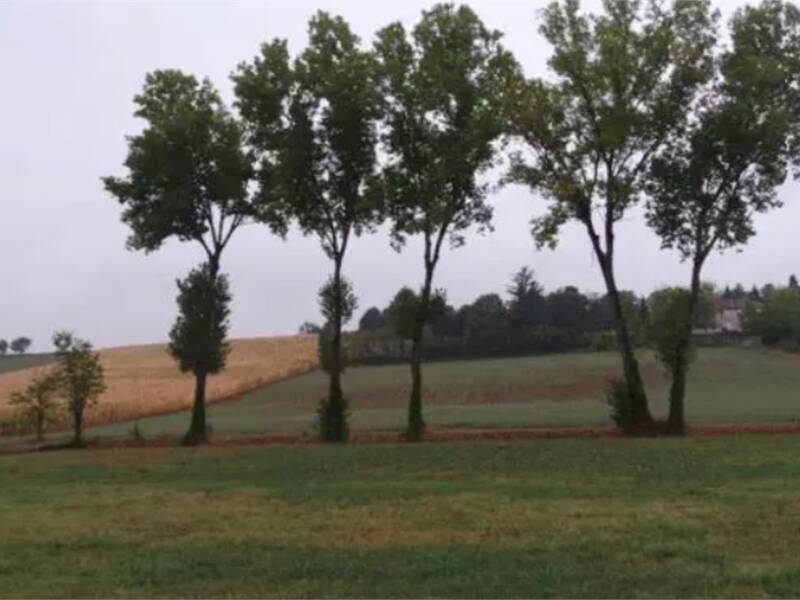 foto principale del terreno