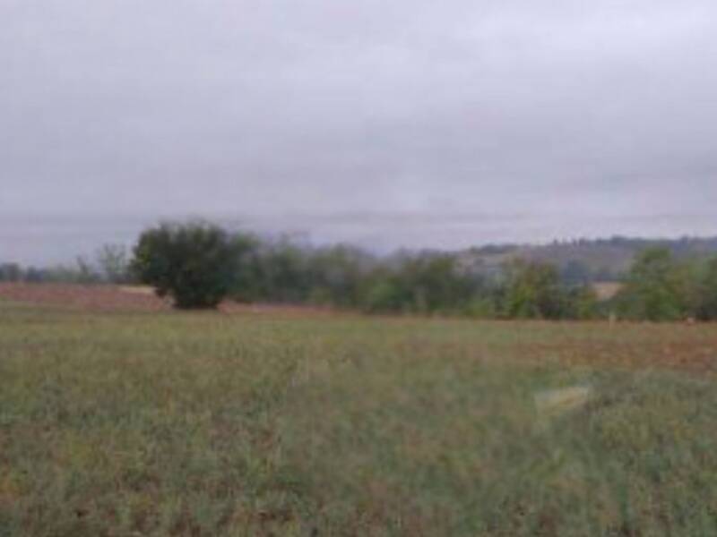 foto principale del terreno