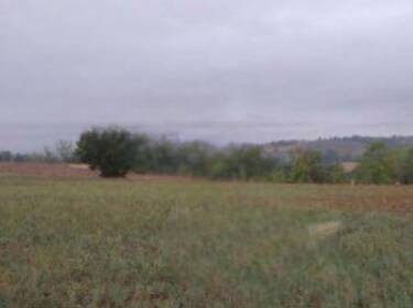 foto principale del terreno