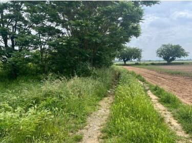 foto principale del terreno