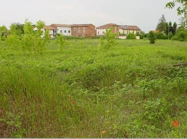foto principale del terreno