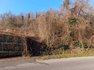 foto principale del terreno