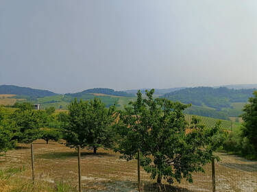 foto principale del terreno