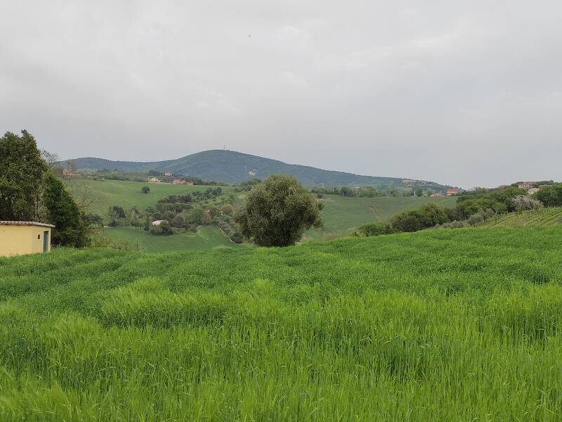 foto principale del terreno