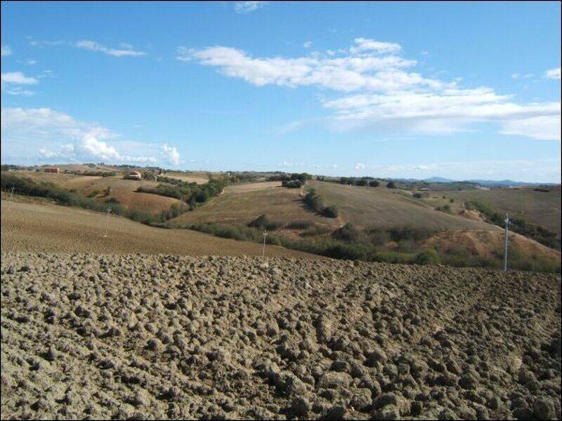 foto principale del terreno