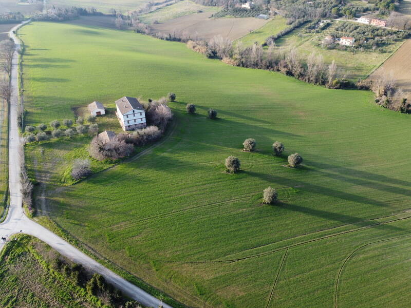 foto principale del terreno