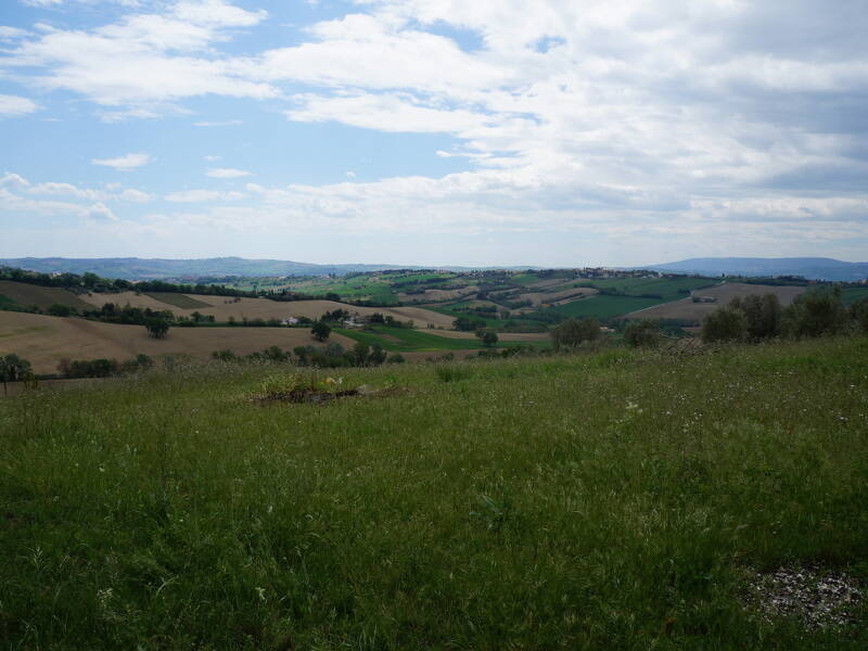 foto principale del terreno