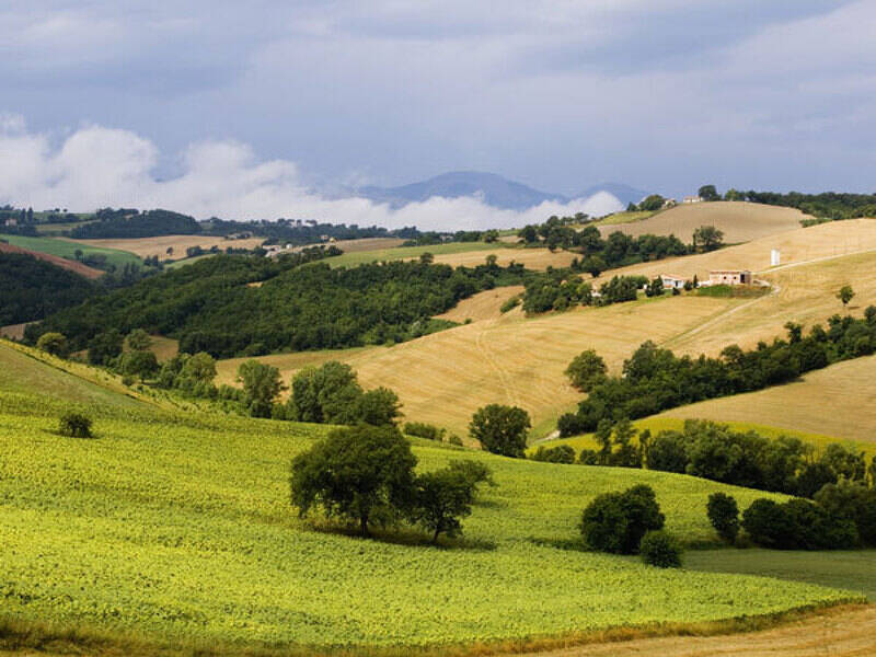 foto principale del terreno