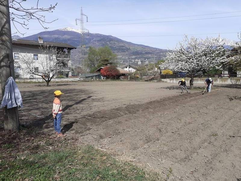 foto principale del terreno