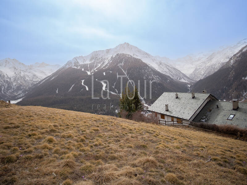 foto principale del terreno