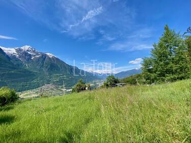 foto principale del terreno