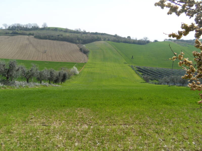 foto principale del terreno