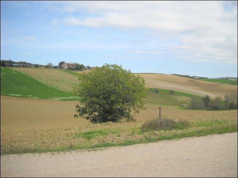 foto principale del terreno