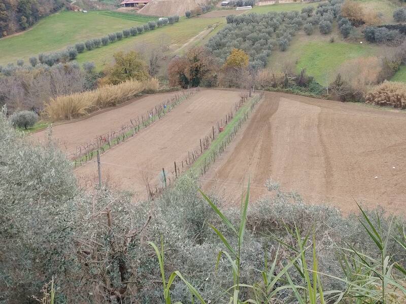 foto principale del terreno