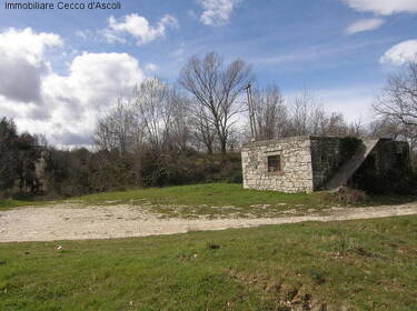 foto principale del terreno