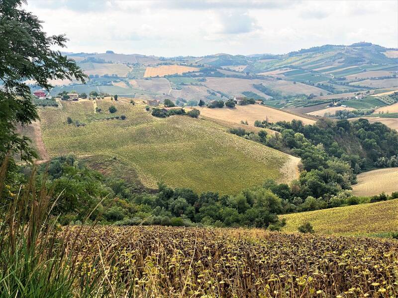 foto principale del terreno