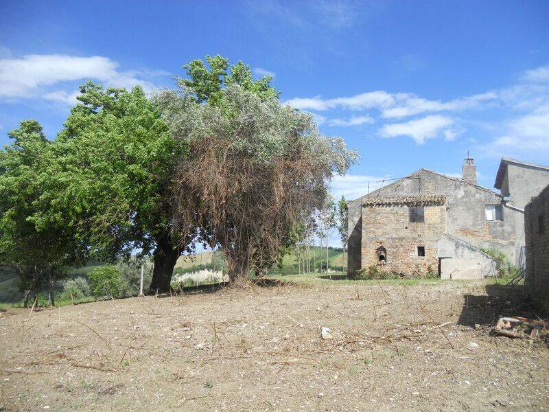 foto principale del terreno