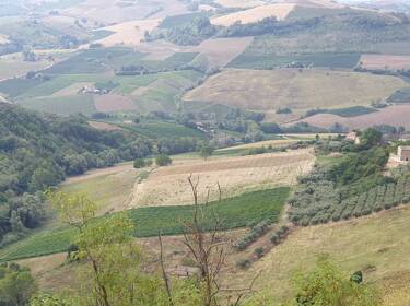 foto principale del terreno