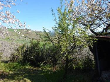 foto principale del terreno