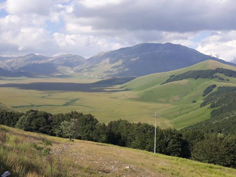 foto principale del terreno