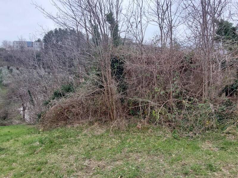foto principale del terreno