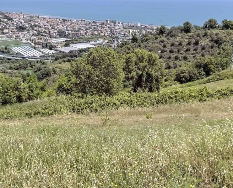 foto principale del terreno