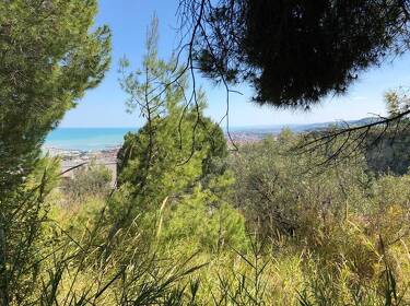 foto principale del terreno