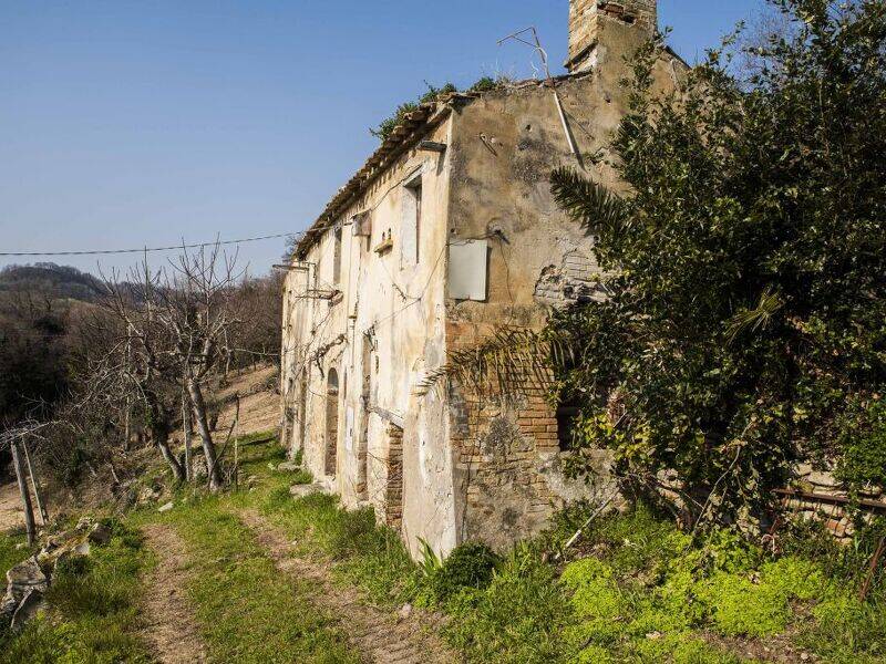 foto principale del terreno