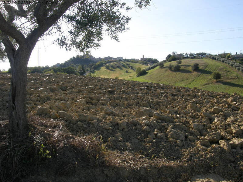 foto principale del terreno