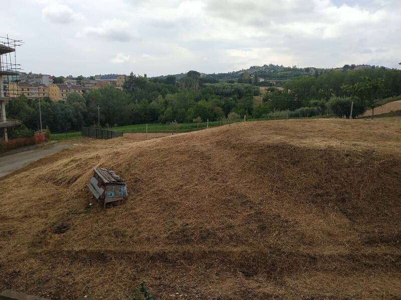 foto principale del terreno