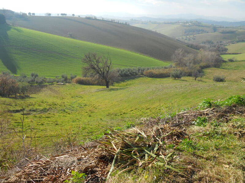 foto principale del terreno