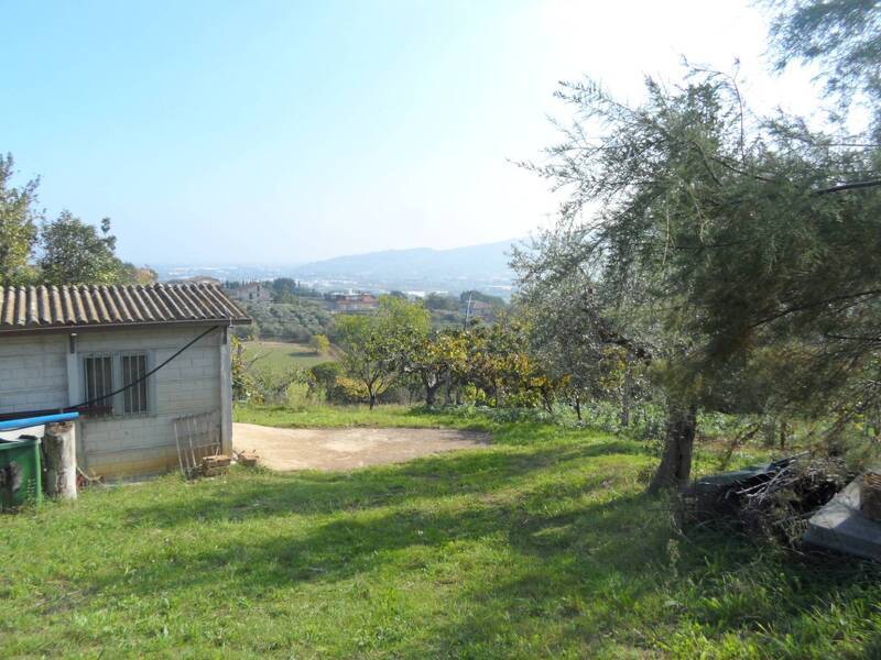 foto principale del terreno