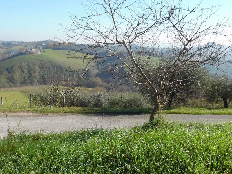 foto principale del terreno