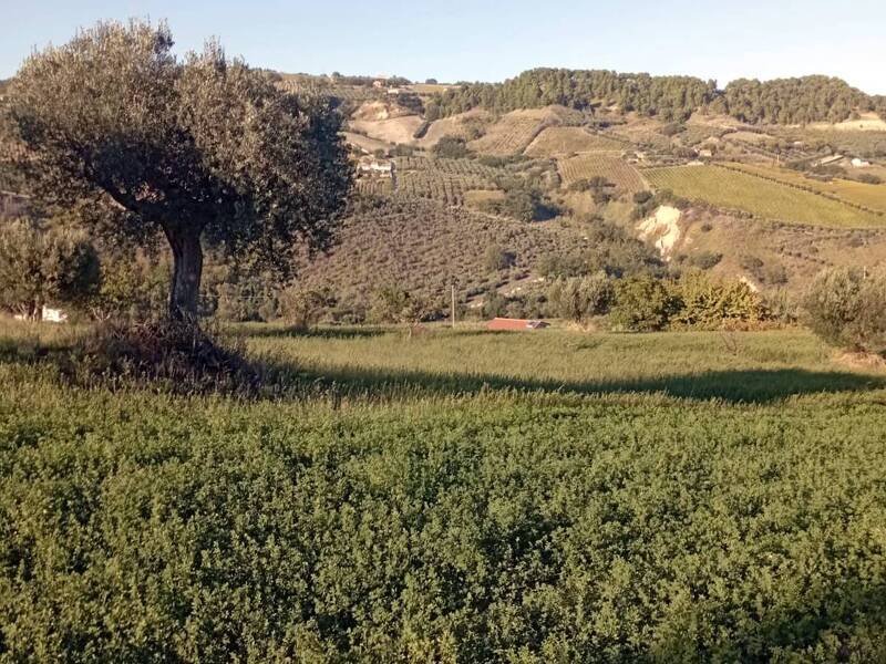 foto principale del terreno