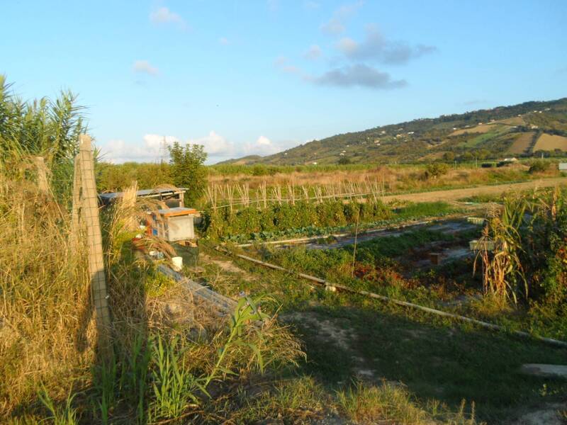 foto principale del terreno
