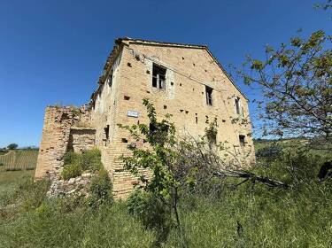 foto principale del terreno