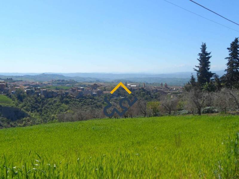 foto principale del terreno