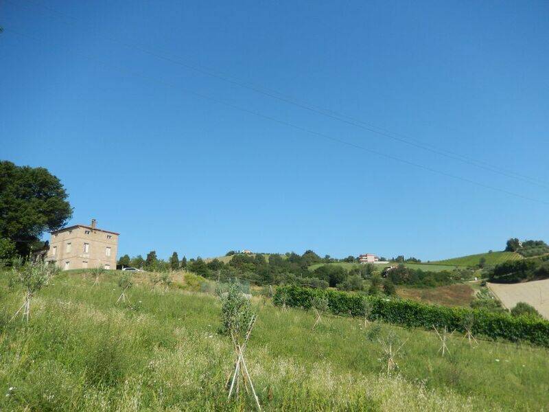 foto principale del terreno