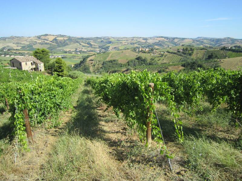 foto principale del terreno