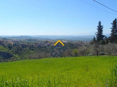 foto principale del terreno