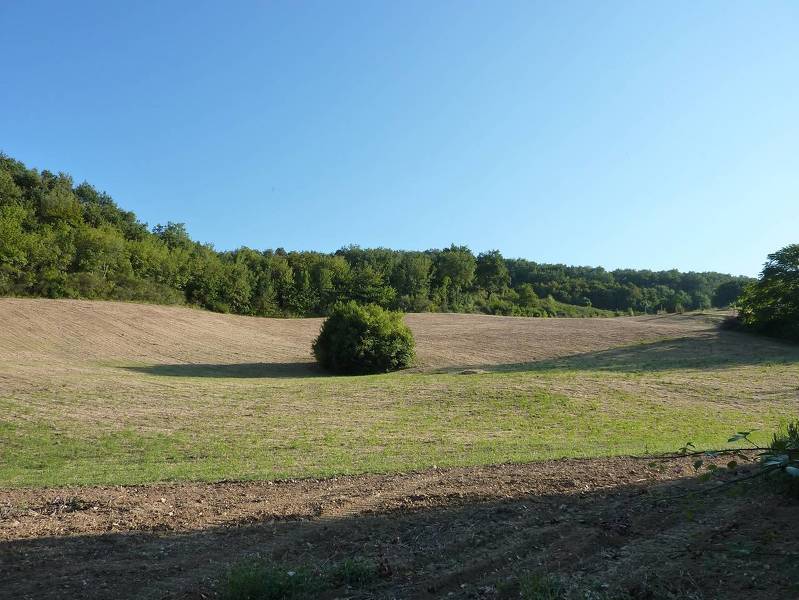 foto principale del terreno