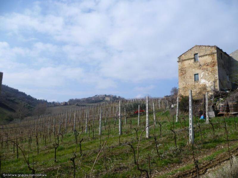 foto principale del terreno