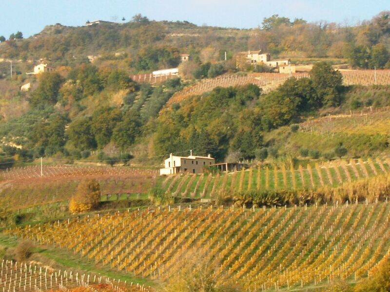foto principale del terreno