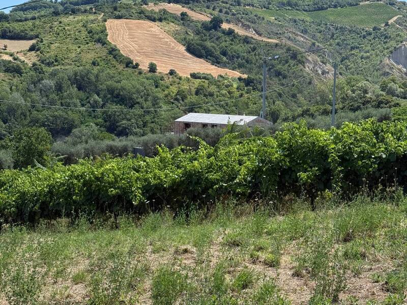 foto principale del terreno