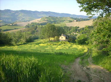 foto principale del terreno